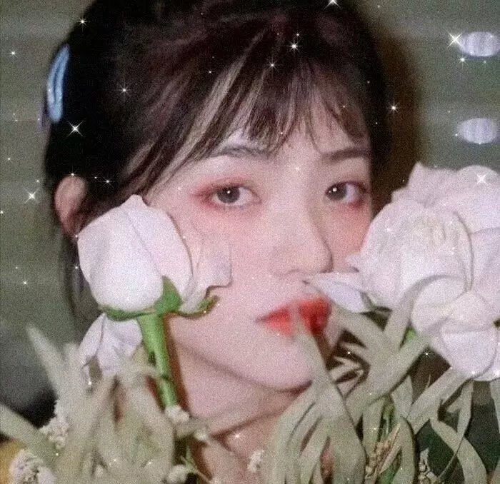 苏晓萌