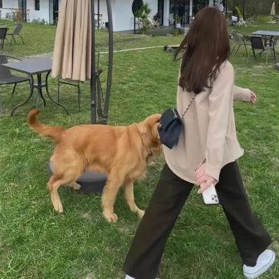 苏晓萌